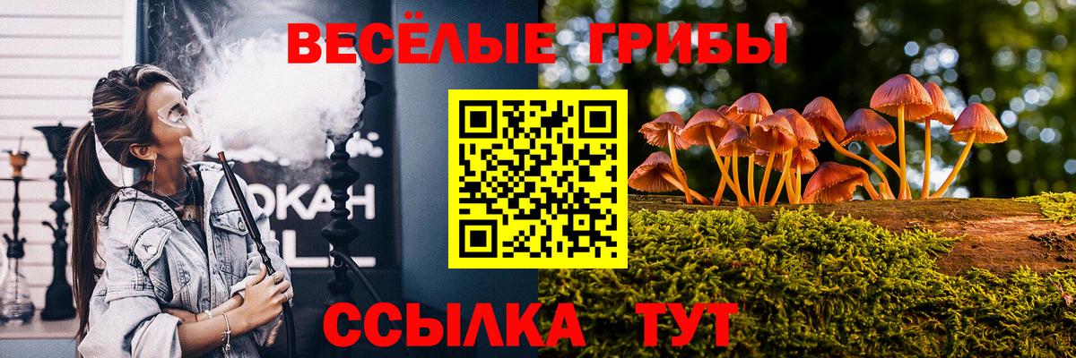 купить   Вход с VPN  Псилоцибиновые грибы мухоморы  Барнаул  Псилоцибиновые грибы Psilocybine cubensis 
