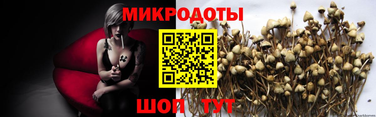 Псилоцибиновые грибы прущие грибы Барнаул